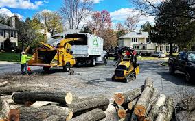 Best Lawn Dethatching  in Rochester, NY