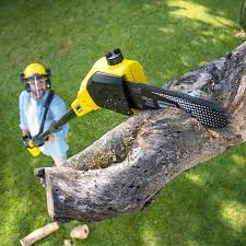 Best Soil Testing and Treatment  in Rochester, NY